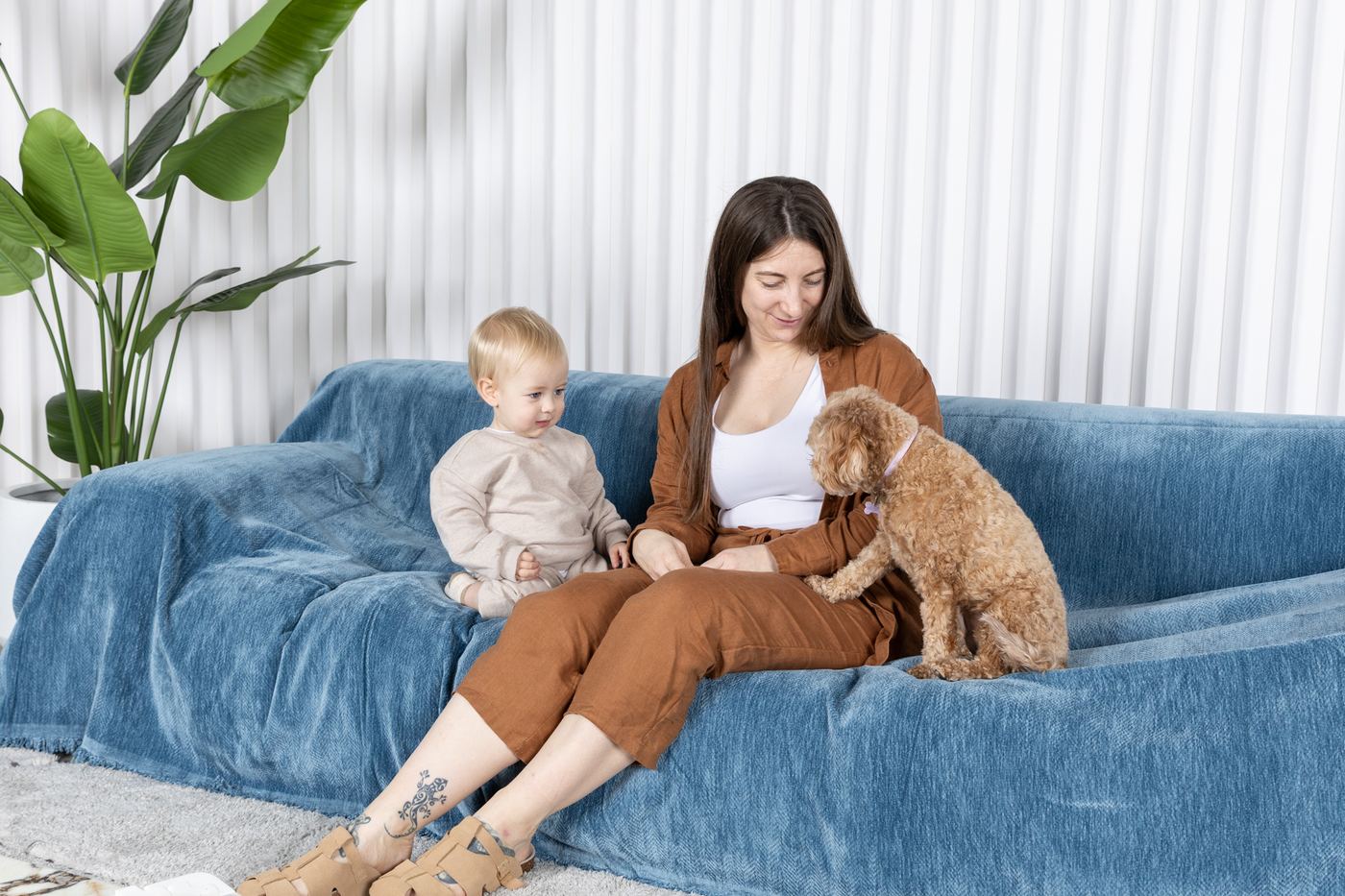 Woman, toddler and dog sitting on a sofa with a blue CouchCare cover.
