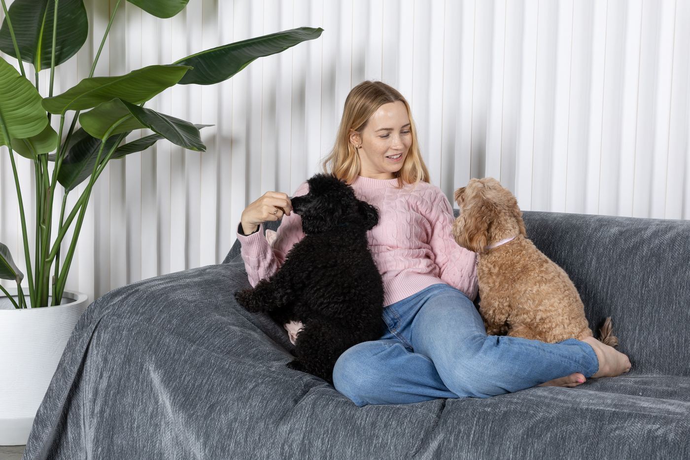 Woman sitting with two dogs on a sofa covered by a slate gray CouchCare couch cover.